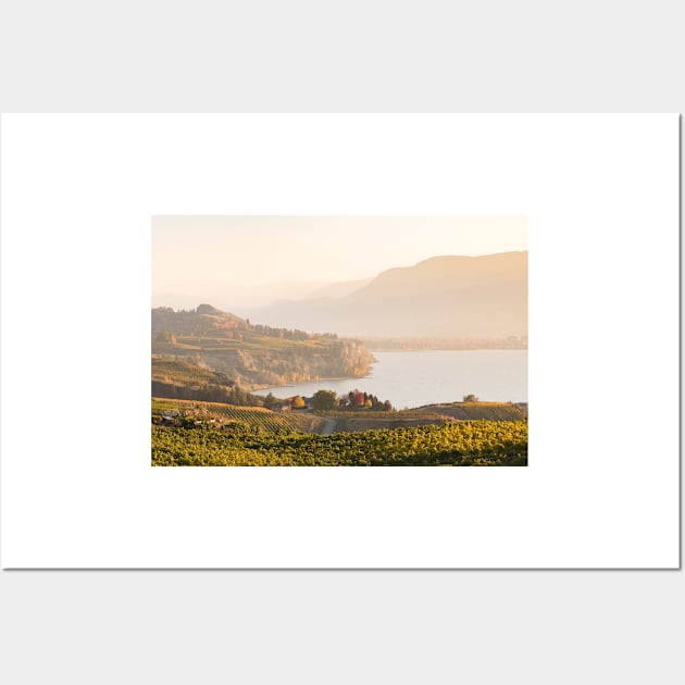 Okanagan Valley Vineyards at Sunset Wall Art by Amy-K-Mitchell